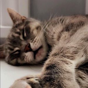 Meet your Posher, Cameron